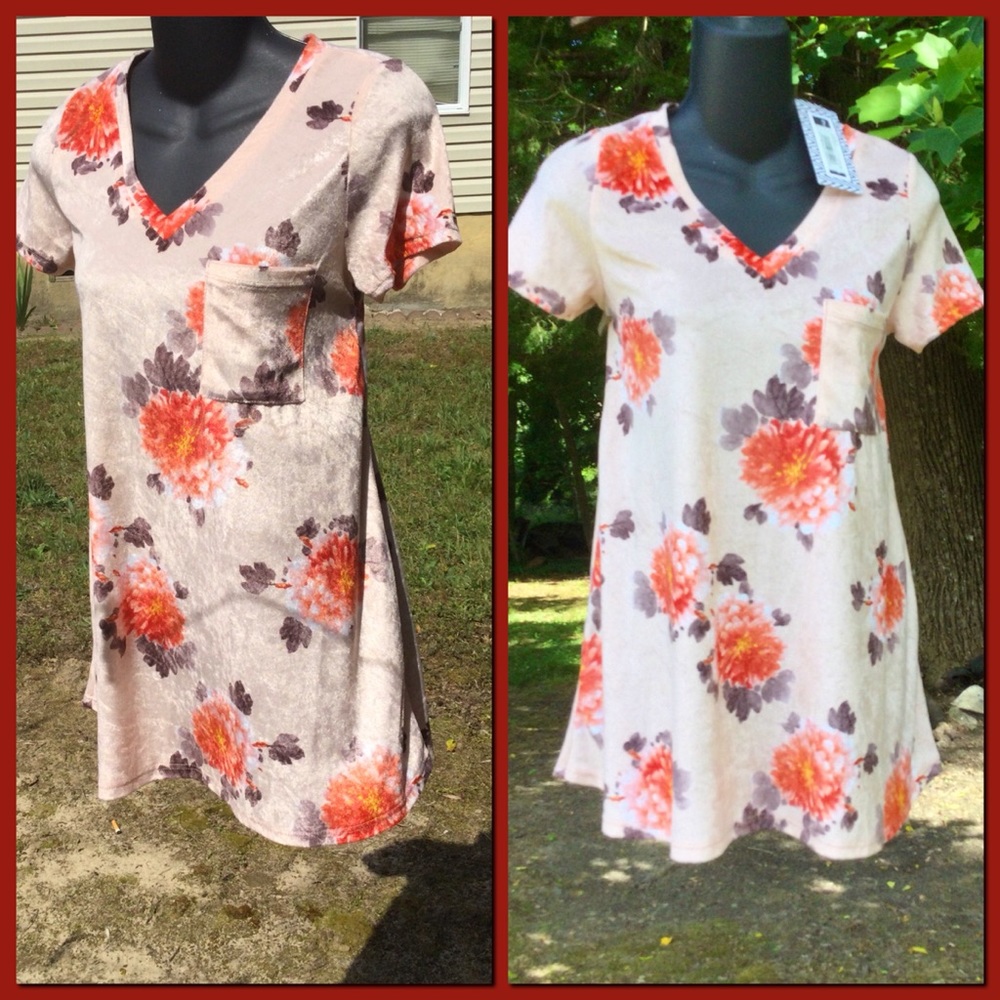Blush Velour Tunic Top, sz S